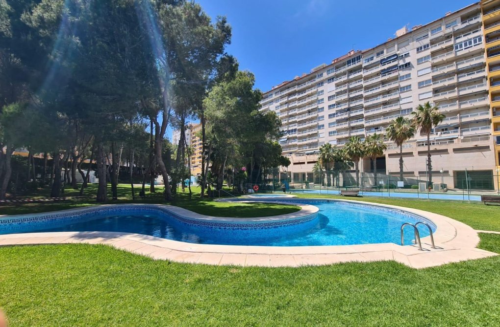 Segunda mano - Apartamento  - Orihuela Costa - Campoamor