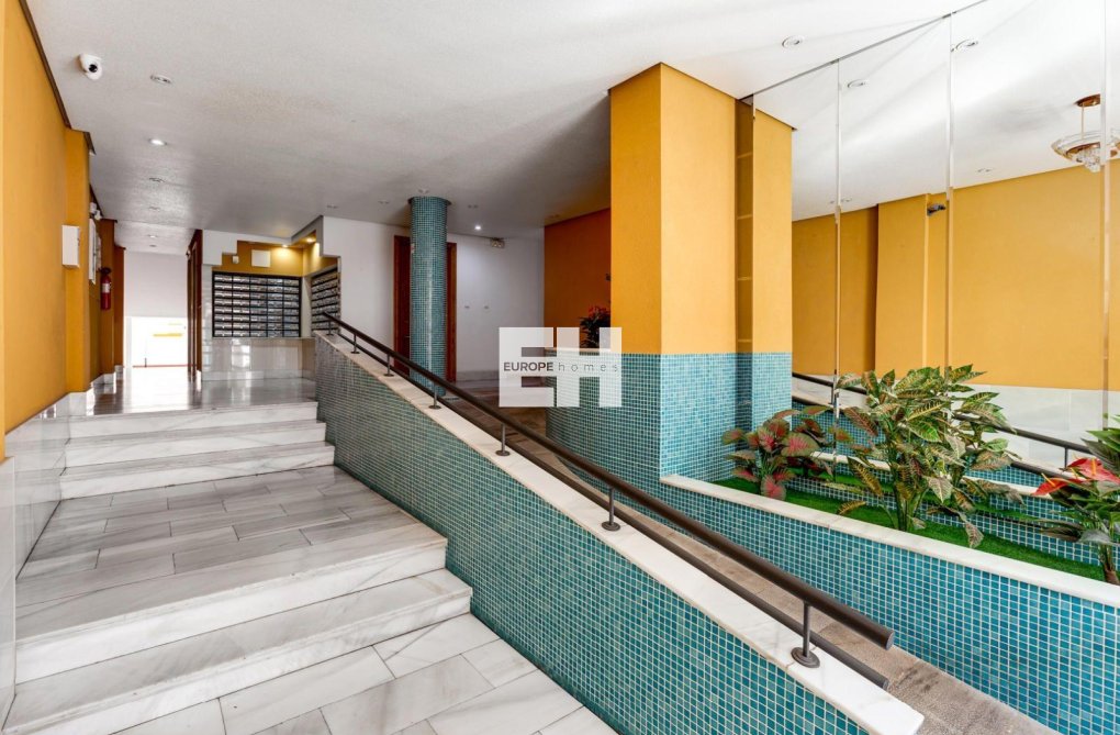 Segunda mano - Apartamento  - Torrevieja - Centro