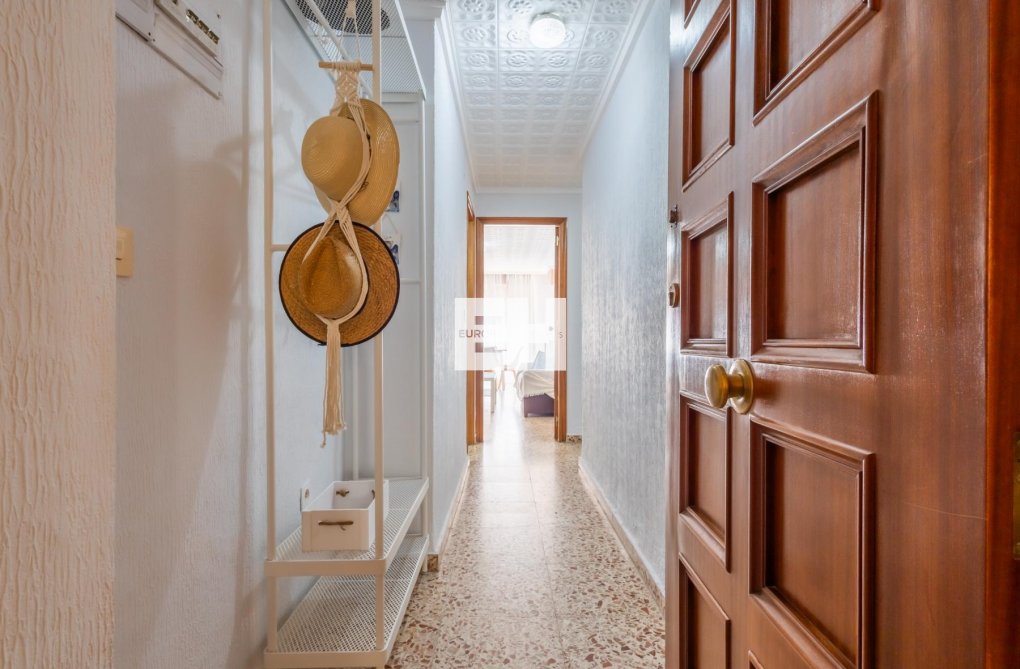 Segunda mano - Apartamento  - Torrevieja - Costa Blanca