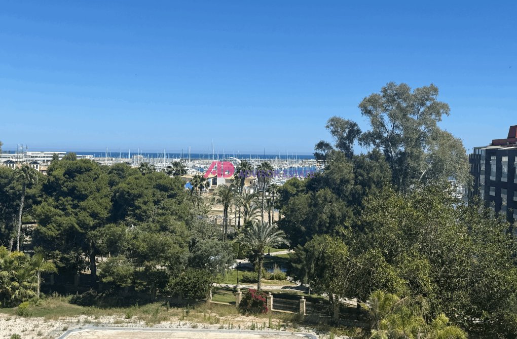 Segunda mano - Apartamento  - Torrevieja - Costa Blanca