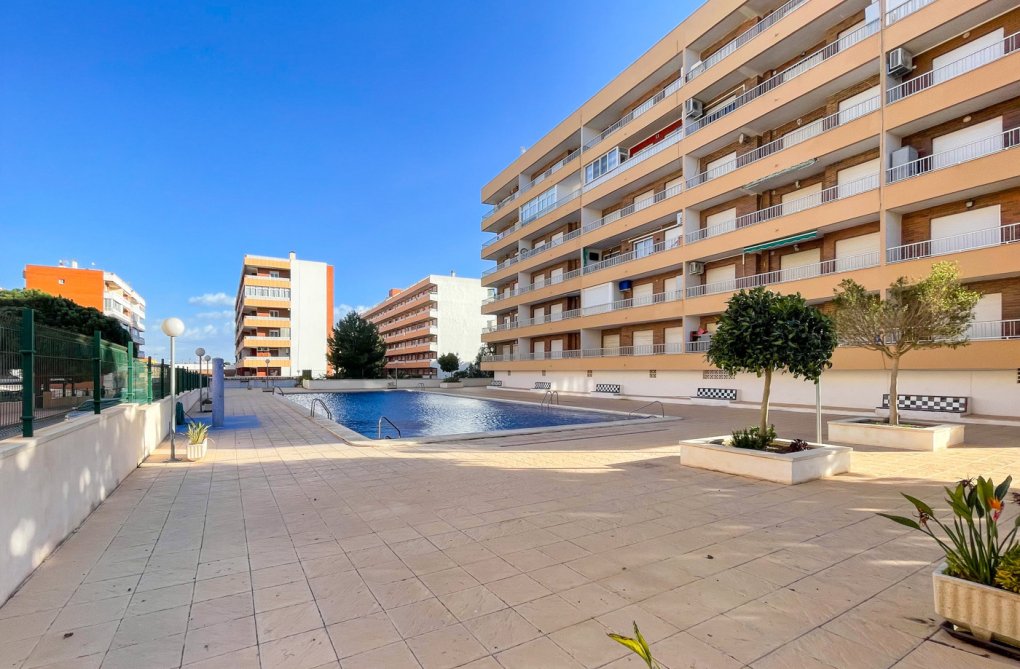 Segunda mano - Apartamento  - Torrevieja - Costa Blanca