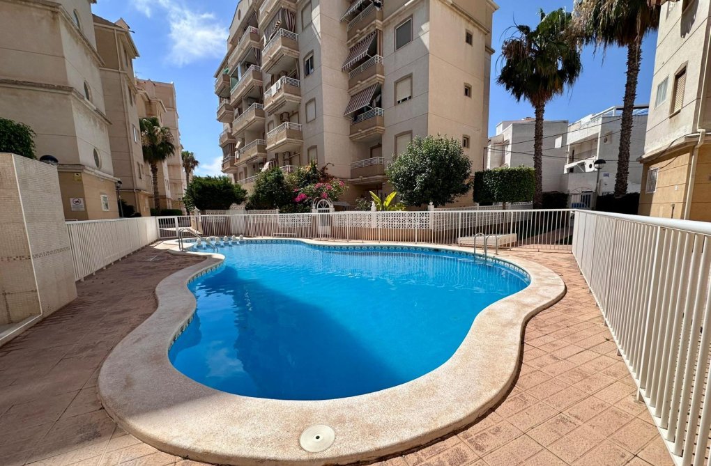 Segunda mano - Apartamento  - Torrevieja - Habaneras