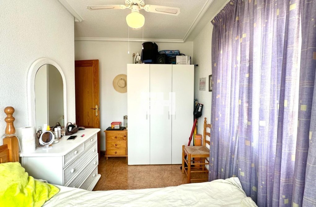 Segunda mano - Apartamento  - Torrevieja