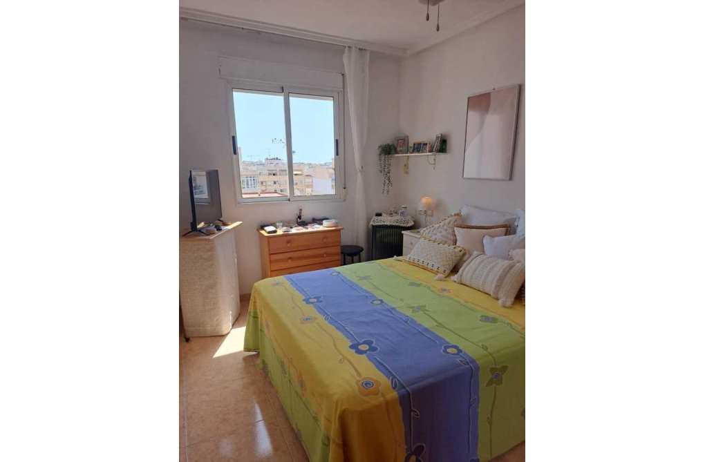Segunda mano - Apartamento  - Torrevieja