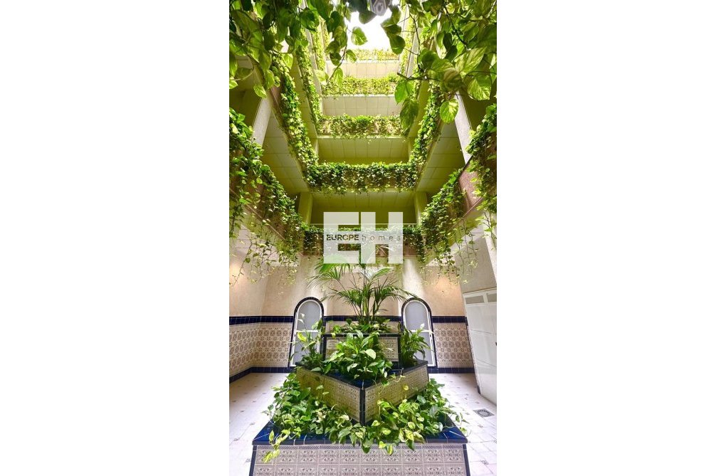 Segunda mano - Atico - Torrevieja - Centro