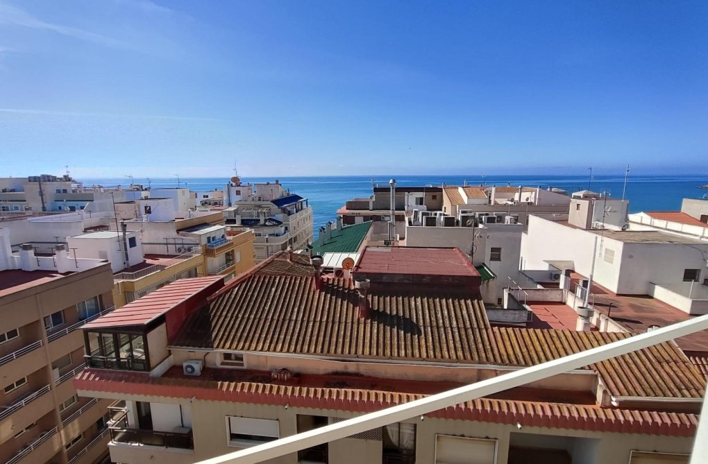 Segunda mano - Atico - Torrevieja - Paseo Maritimo