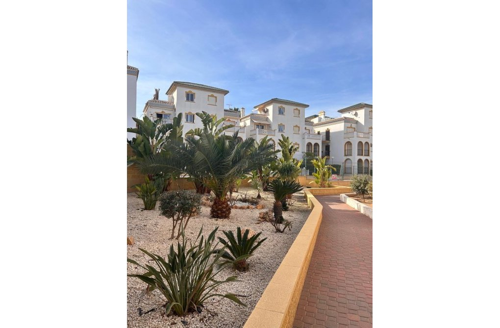 Segunda mano - Bungalow - Torrevieja - Torre La Mata