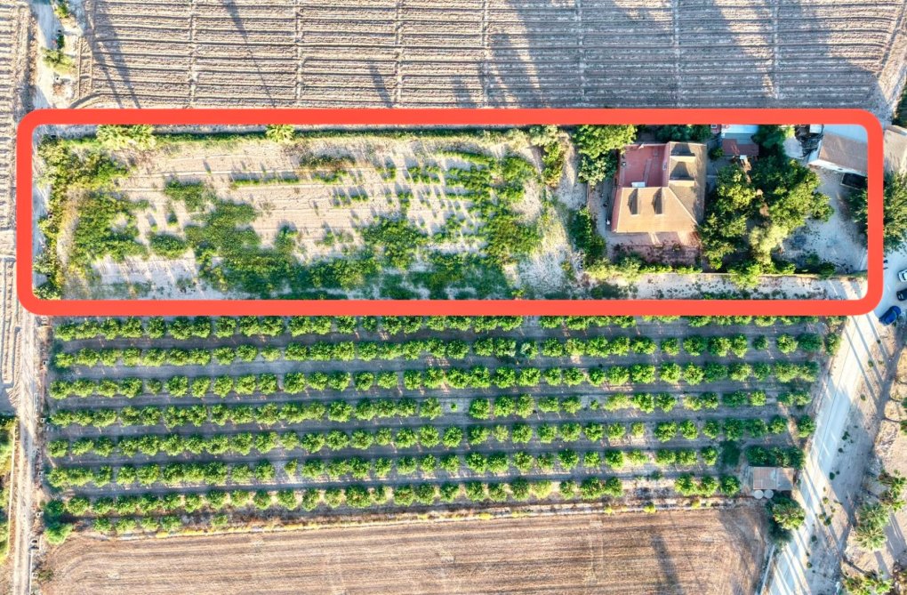 Segunda mano - Finca - Catral - Costa Blanca