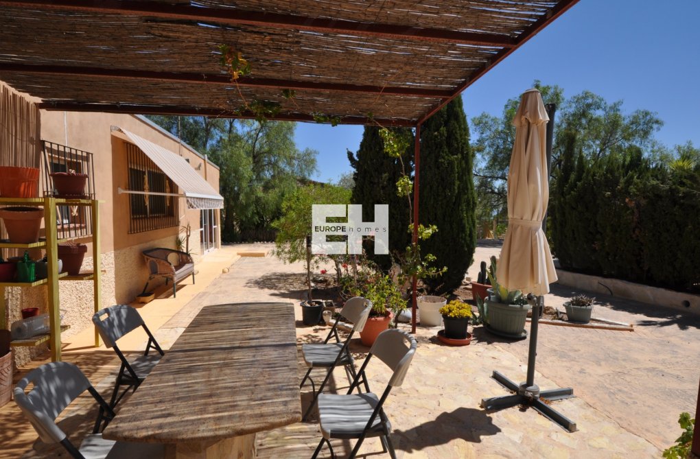 Segunda mano - Finca - Crevillent - Inland