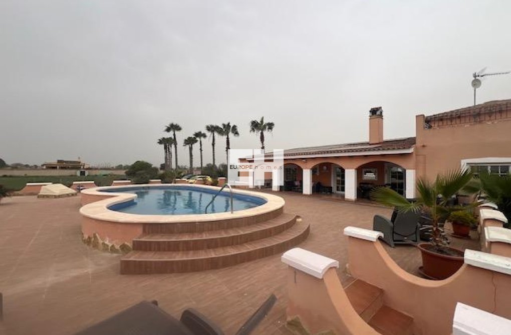 Segunda mano - Finca - Dolores - Comunidad Valenciana