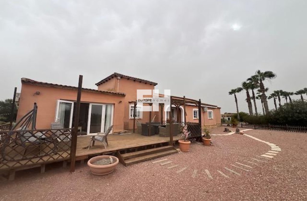 Segunda mano - Finca - Dolores - Comunidad Valenciana