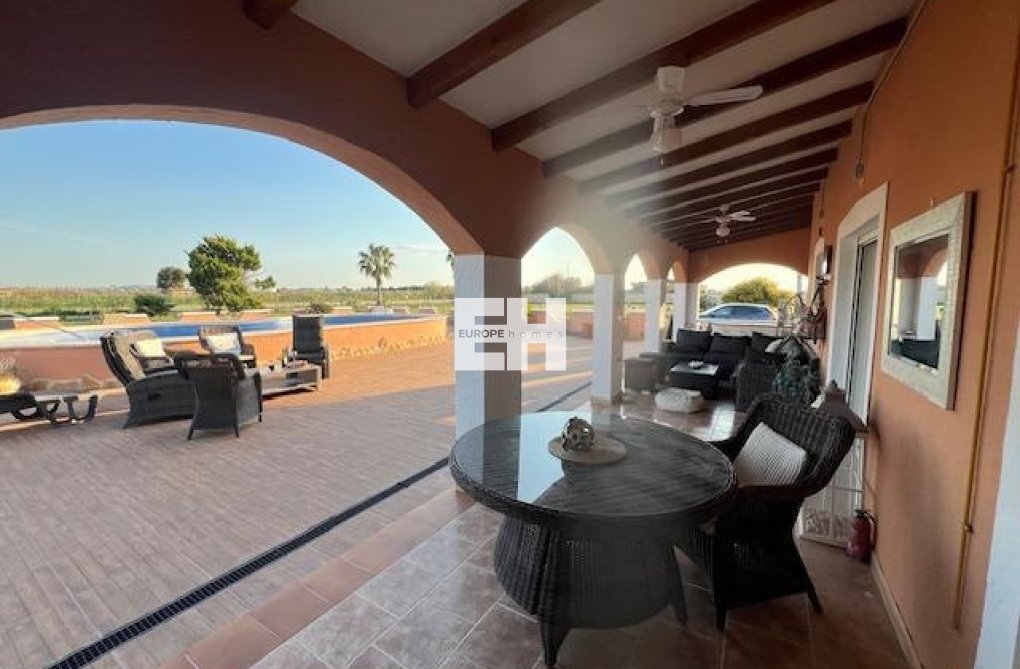 Segunda mano - Finca - Dolores - Comunidad Valenciana