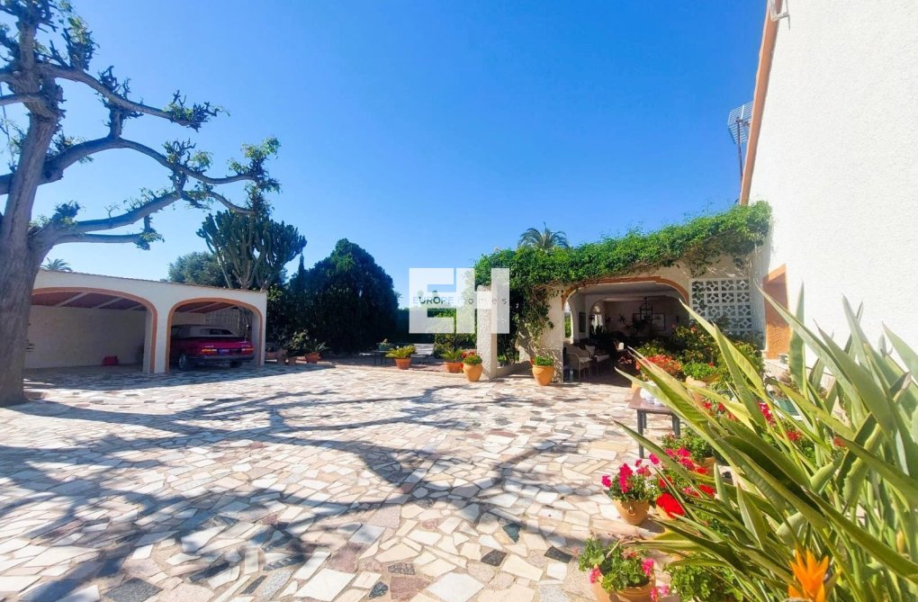 Segunda mano - Finca - La Marina - Costa Blanca