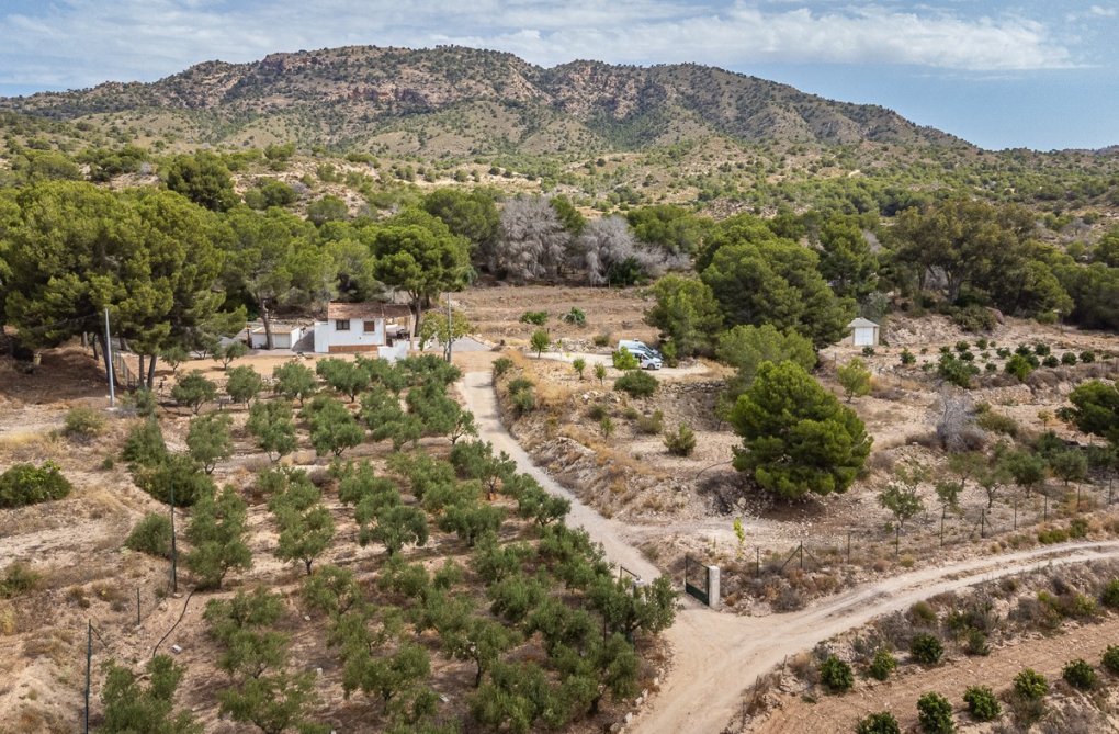 Segunda mano - villa - La Tercia Golf Resort - Inland