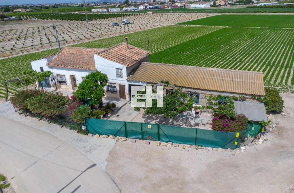 Wiederverkauf - Finca - Orihuela - Desamparados-hurchillo-torremendo