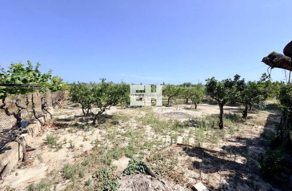 Wiederverkauf - Landhaus - La Marina - Costa Blanca