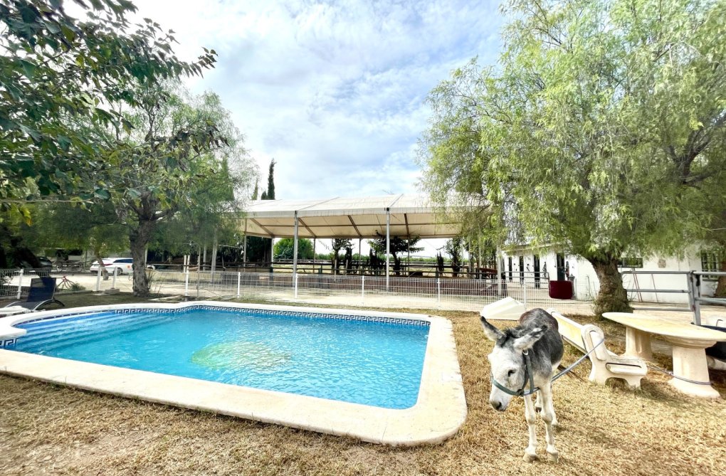 Wiederverkauf - Landhaus - Orihuela - Inland