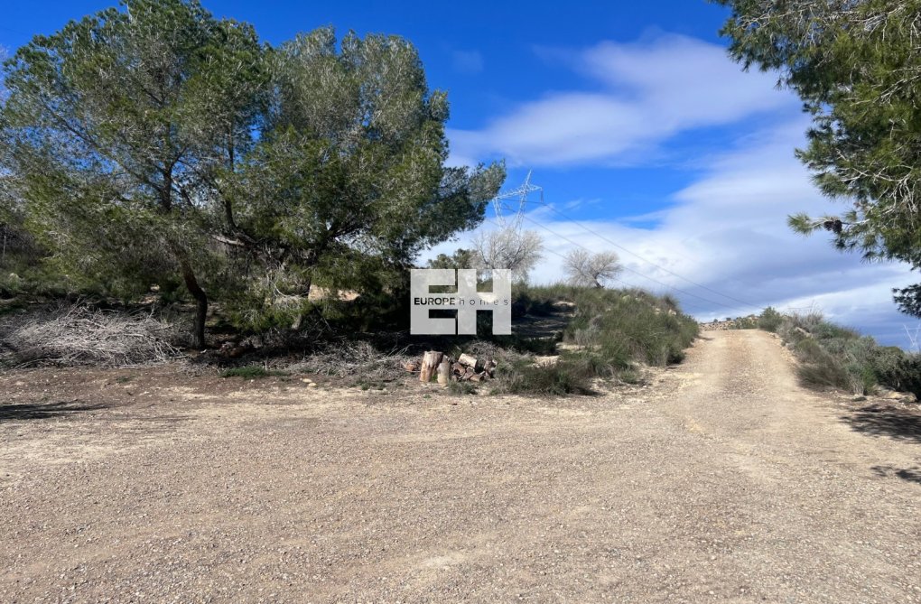 Wiederverkauf - Landhaus - Torremendo - Costa Blanca
