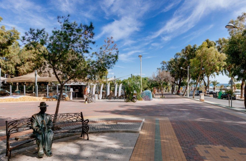 Wiederverkauf - Wohnung - Guardamar del Segura - Costa Blanca