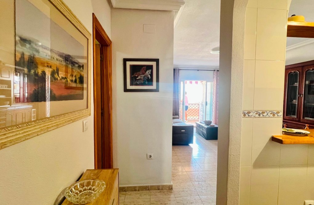Wiederverkauf - Wohnung - La Mata - Costa Blanca