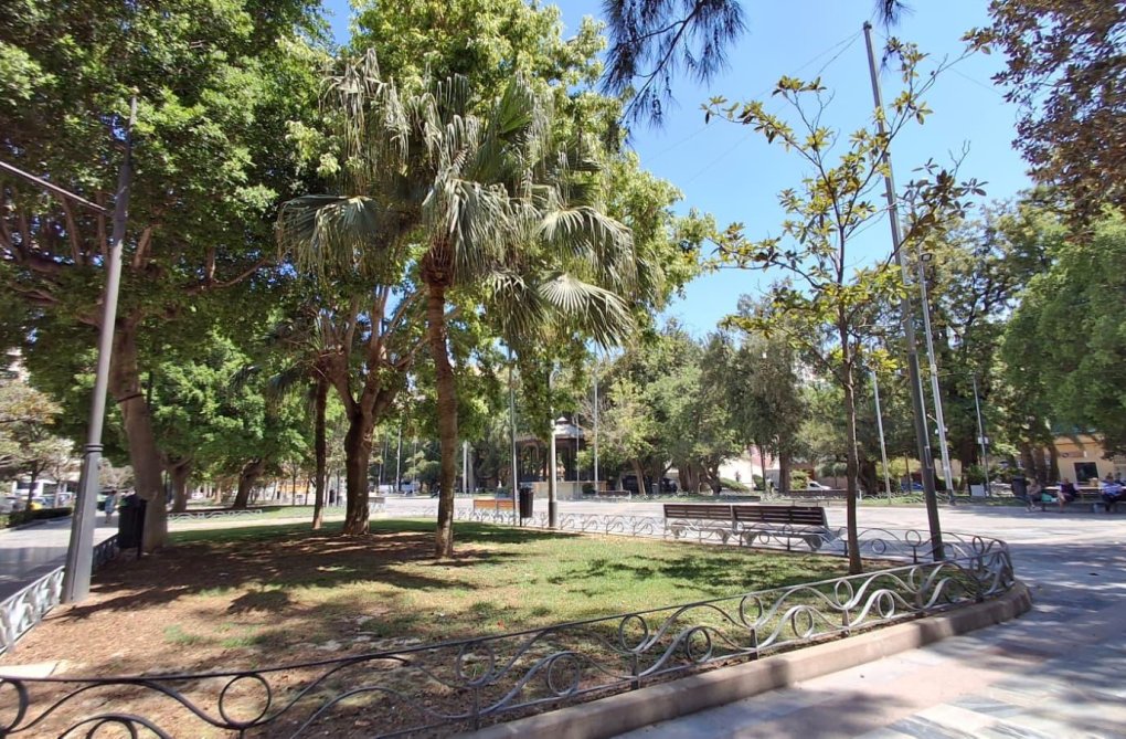 Wiederverkauf - Wohnung - Orihuela - Zona Centro