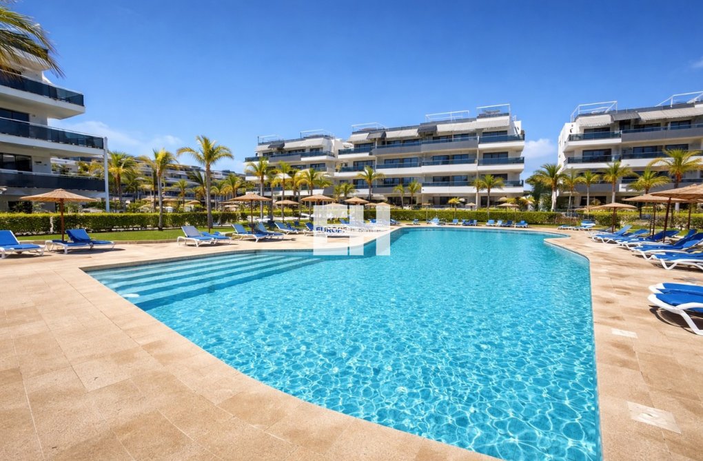 Wiederverkauf - Wohnung - Playa Flamenca - Costa Blanca