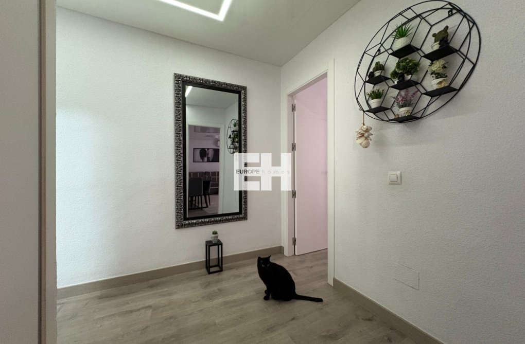 Wiederverkauf - Wohnung - Torrevieja - Costa Blanca