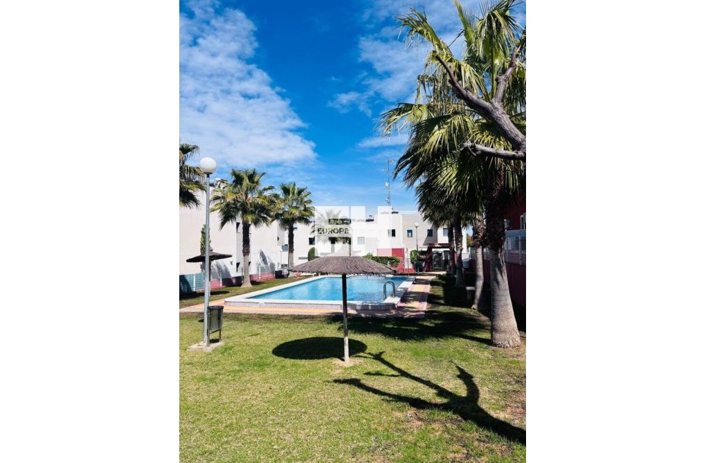 Wiederverkauf - Wohnung - Torrevieja - Costa Blanca