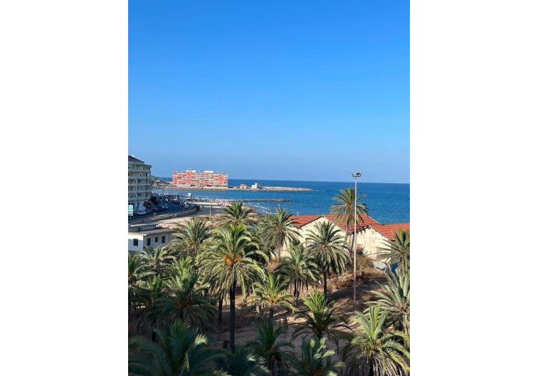 Wohnung - Wiederverkauf - Torrevieja - Playa del Cura