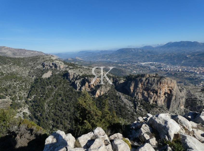 La Ruta del Barranco del Cint: Un Sendero Natural en Alicante, España