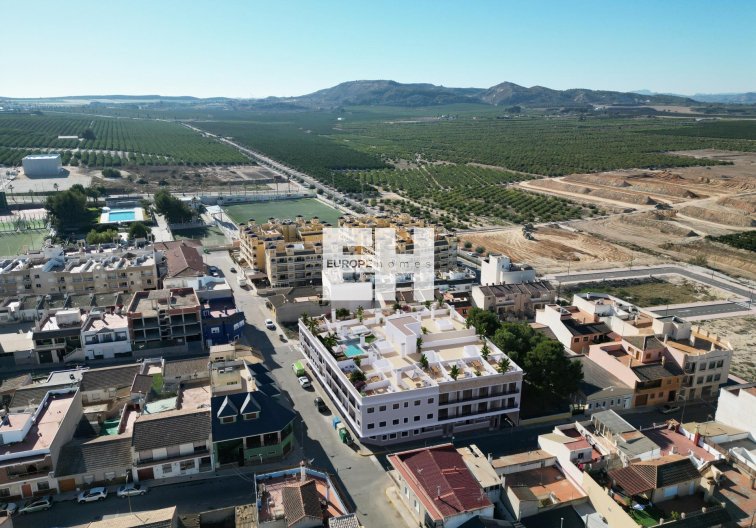 Obra Nueva - Ground floor apartment - Algorfa - Pueblo