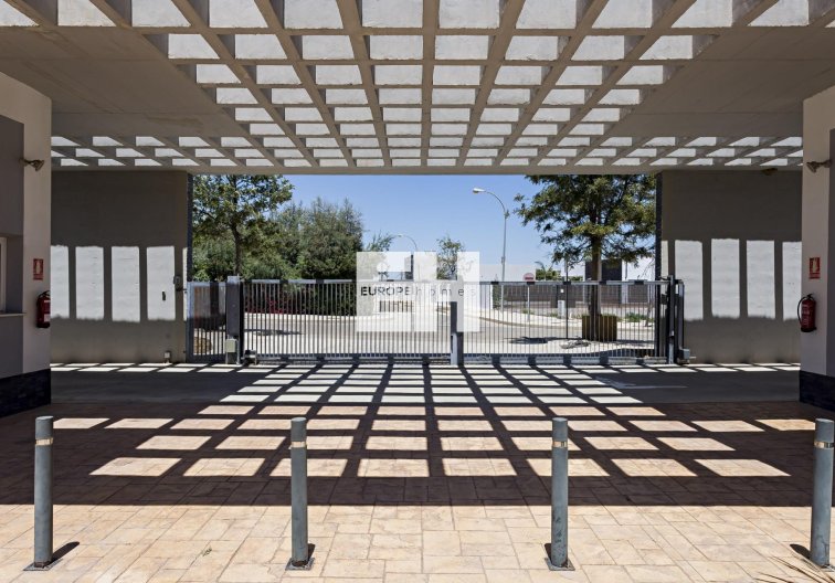 Obra Nueva - Apartamento  - Vera - El Playazo