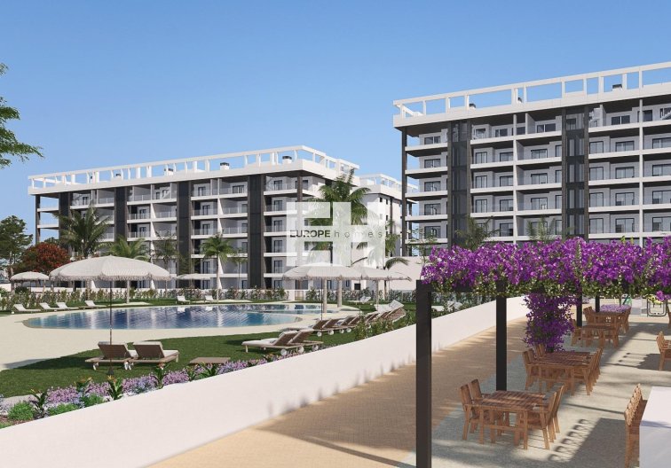 Obra Nueva - Apartamento  - Torrevieja - Torreblanca