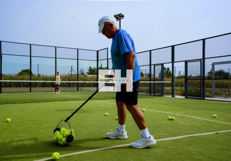 Obra Nueva - Semidetached - Almoradí - Las Heredades