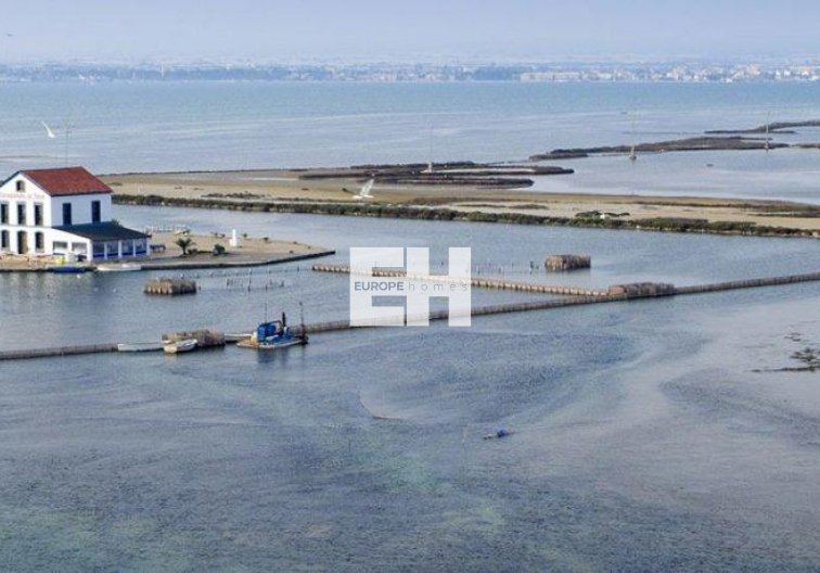 Obra Nueva - Atico - San Pedro del Pinatar - Pueblo