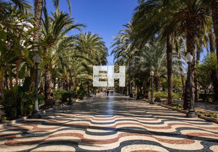 Obra Nueva - Ground floor apartment - Alicante - Centro