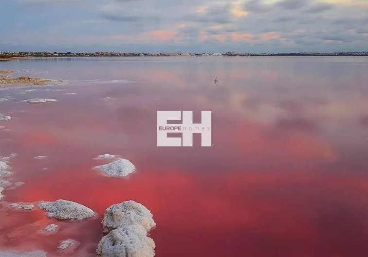 Obra Nueva - Bungalow en planta alta - Torrevieja - Lago Jardín II