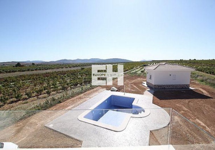 Obra Nueva - villa - Pinoso - Camino Del Prado