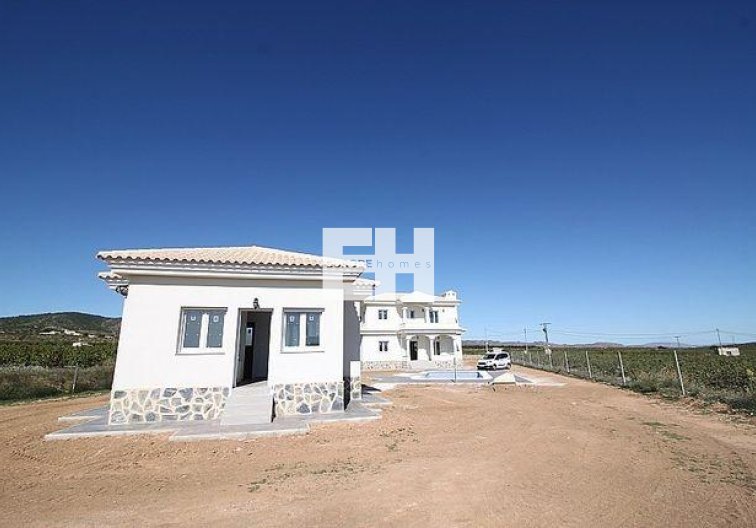 Obra Nueva - villa - Pinoso - Camino Del Prado