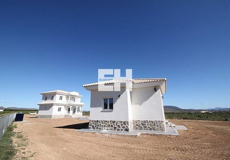Obra Nueva - villa - Pinoso - Camino Del Prado