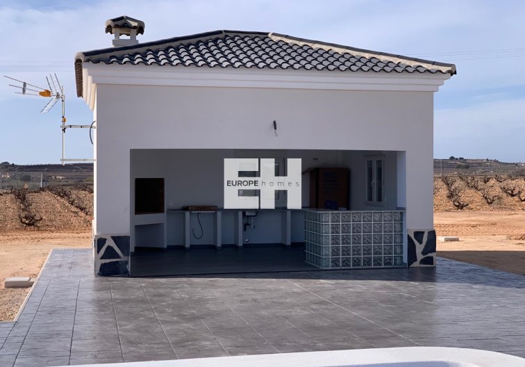 Obra Nueva - villa - Pinoso - Camino Del Prado