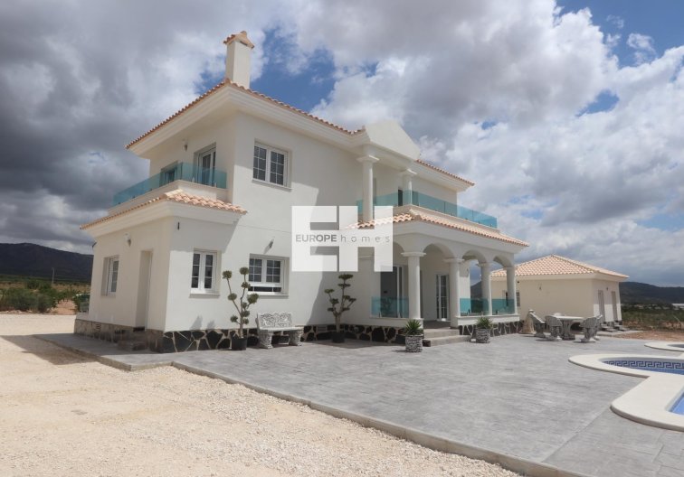 Obra Nueva - villa - Pinoso - Camino Del Prado