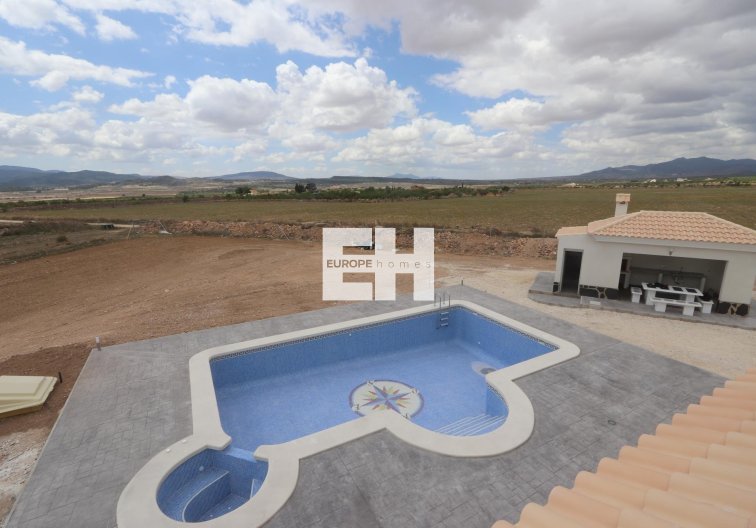 Obra Nueva - villa - Pinoso - Camino Del Prado