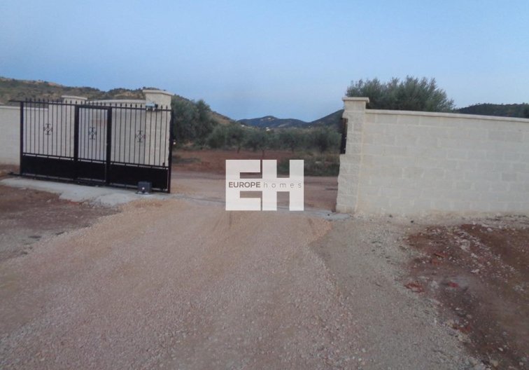 Obra Nueva - villa - Pinoso - Camino Del Prado