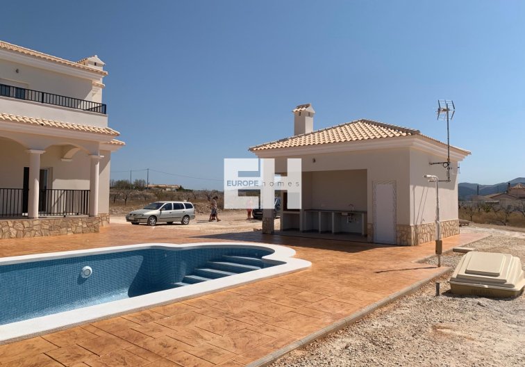 Obra Nueva - villa - Pinoso - Camino Del Prado