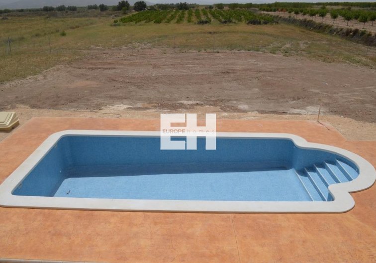 Obra Nueva - villa - Pinoso - Camino Del Prado