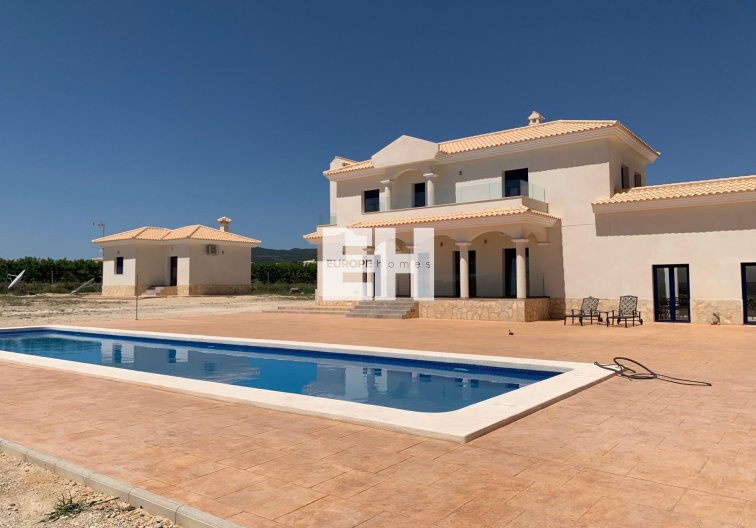 Obra Nueva - villa - Pinoso - Camino Del Prado