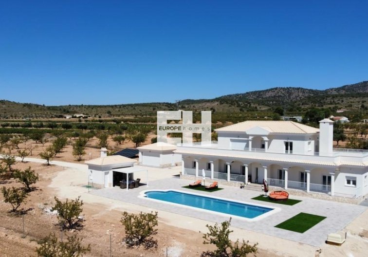 Obra Nueva - villa - Pinoso - Camino Del Prado