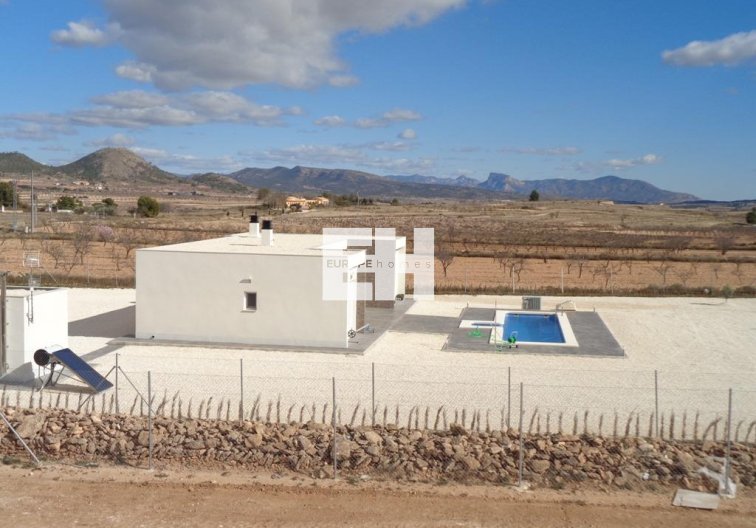 Obra Nueva - villa - Pinoso - Camino Del Prado