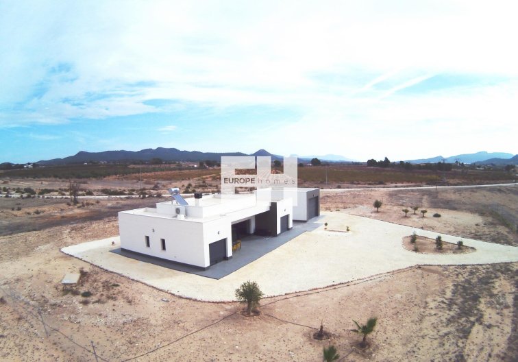 Obra Nueva - villa - Pinoso - Camino Del Prado